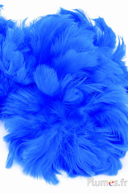 Gallina - 5-9 cm - turchese